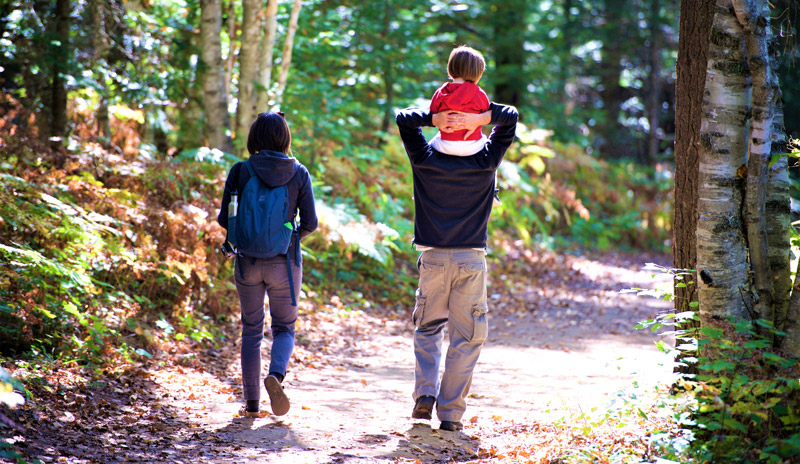 Family walking in woods