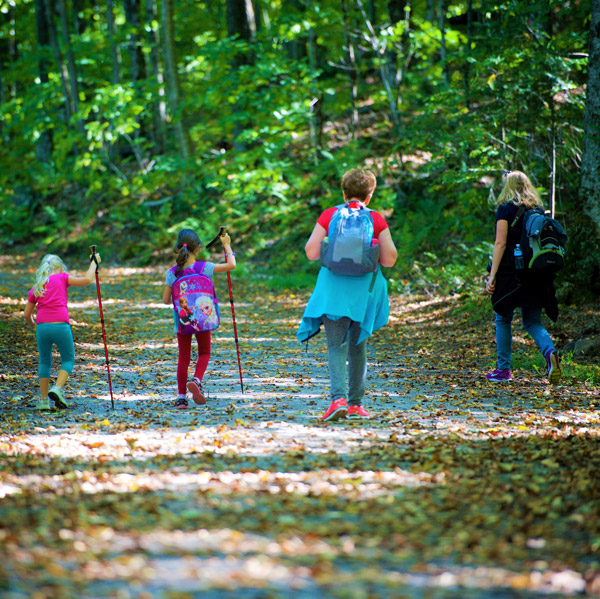 Kids hiking in the woods