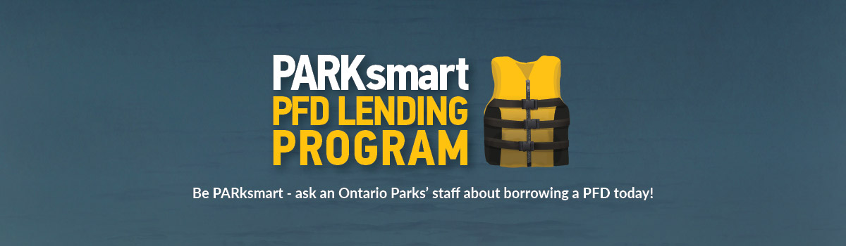 PFD lending program